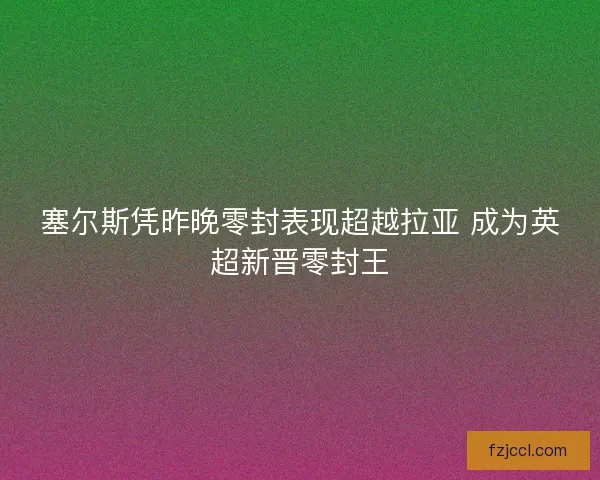 塞尔斯凭昨晚零封表现超越拉亚 成为英超新晋零封王
